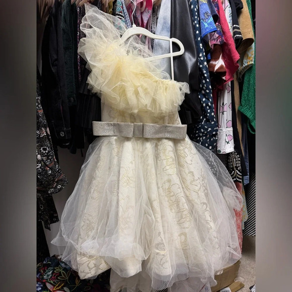 Tulleen One Shoulder Tulle Gold Ivory Solita Flower Girl Formal Dress Gown - Picture 2 of 7